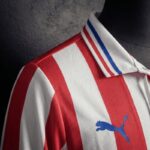 camiseta-chivas-retro-110-aniversario-manga-larga-2016-2017-hombro