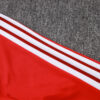 chandal-alemania-rojo-cremallera-baja-2025-2026-hombro