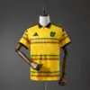 camiseta-jamaica-primera-equipacion-mundial-2026
