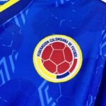 camiseta-colombia-retro-segunda-equipacion-manga-larga-1994-escudo