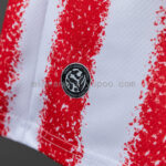 camiseta-paraguay-primera-equipacion-mundial-2026-parte-inferior-2
