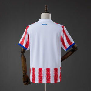 camiseta-paraguay-primera-equipacion-mundial-2026-parte-trasera