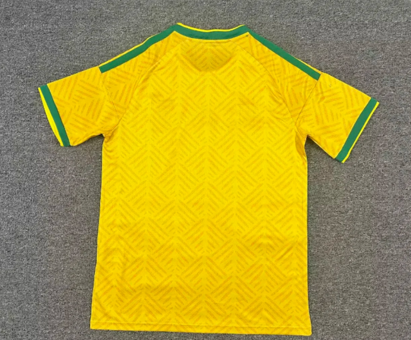 camiseta-sudafrica-primera-equipacion-mundial-2026-parte-trasera