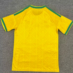 camiseta-sudafrica-primera-equipacion-mundial-2026-parte-trasera