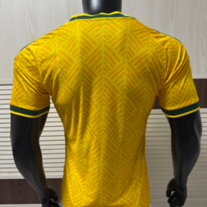 camiseta-sudafrica-primera-equipacion-version-jugador-mundial-2026-parte-trasera