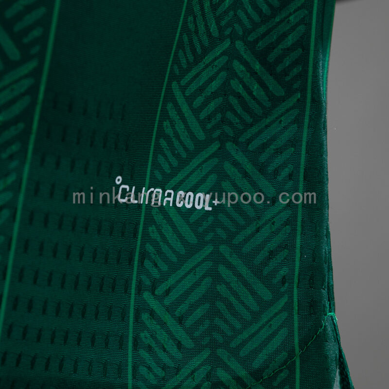 camiseta-sudafrica-segunda-equipacion-version-jugador-mundial-2026-lateral
