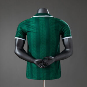 camiseta-sudafrica-segunda-equipacion-version-jugador-mundial-2026-parte-trasera