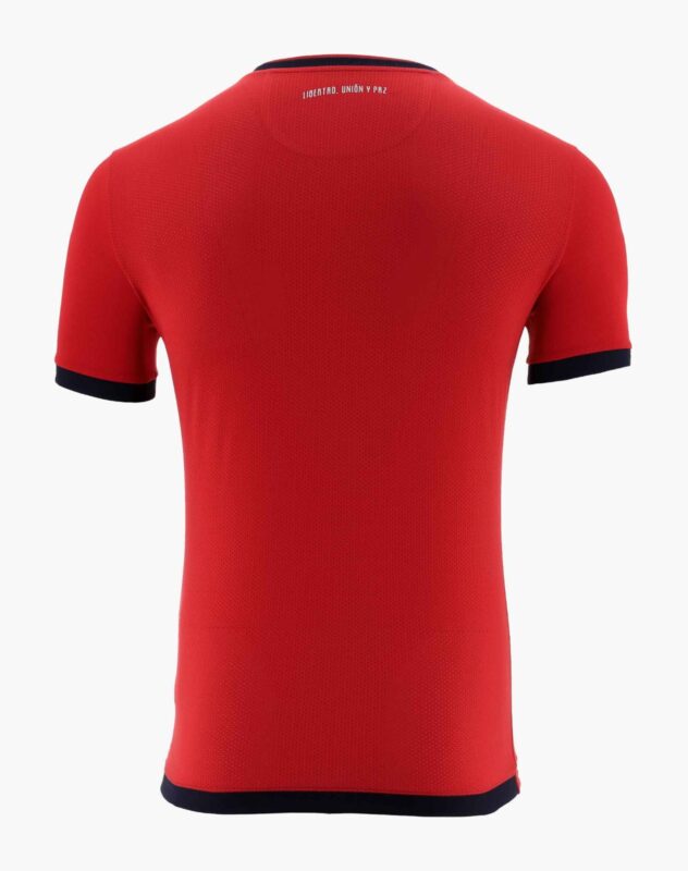 camiseta-ecuador-edicion-especial-2024-parte-trasera