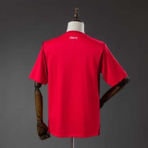 camiseta-turkia-primera-equipacion-mundial-2026-parte-trasera