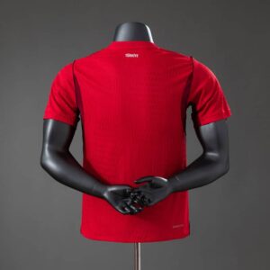 camiseta-turkia-primera-equipacion-version-jugador-mundial-2026-parte-trasera